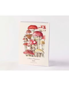 Calendar - Champignons by Anna Pignataro