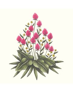 Card - Pink & Yellow Flower Garden by Cecilia Battaini