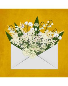 Card - White Floral Envelope by Deb Hudson