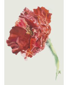 Card - Red Poppy by Joanne Ting Mahon