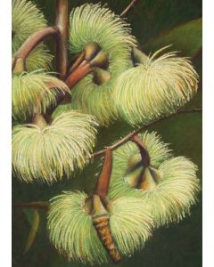 Card - Green Flora by Kylie Sirett