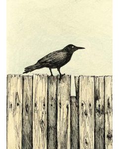 Card - Crow by Kylie Sirett
