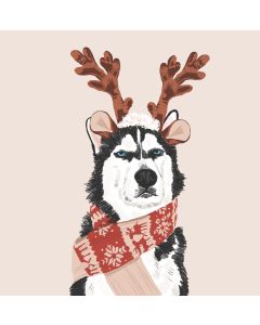 Card - Festive Husky by Alissa Levy
