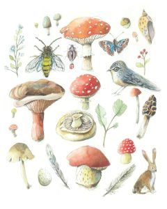 Card - Mushrooms, Leaves, Feathers, Bugs & Bunny by Anna Pignataro