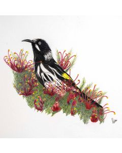 Card - New Holland Honeyeater by Clem Thompson