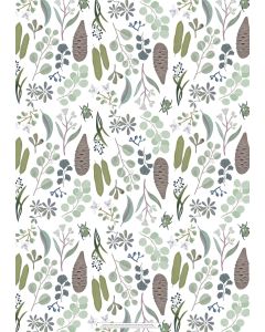 Wrapping Sheets - Australian Light Flora by Cat MacInnes 