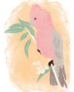 Card - Pink Galah by Studio Geneva