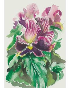 Card - Purple Iris by Joanne Ting Mahon