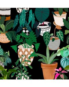 Card - Pots & Plants by Robyn Hammond