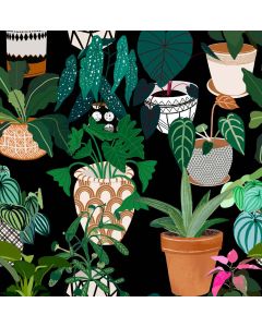 Card - S Pots & Plants by Robyn Hammond