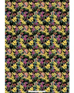 Wrapping Sheets - Australian Flora by Robyn Hammond