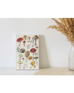 Journal - Lined Mushroom Edit by Anna Pignataro
