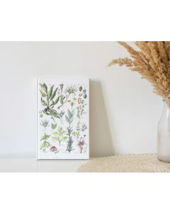 Journal - Lined Herbs & Flowers Edit by Anna Pignataro